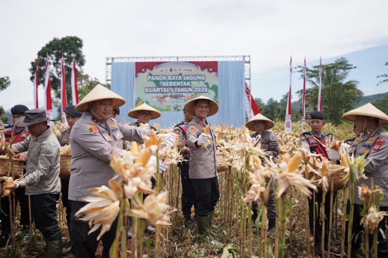 Program Swasembada Pangan Polres Cimahi, Panen 377,5 Ton Jagung